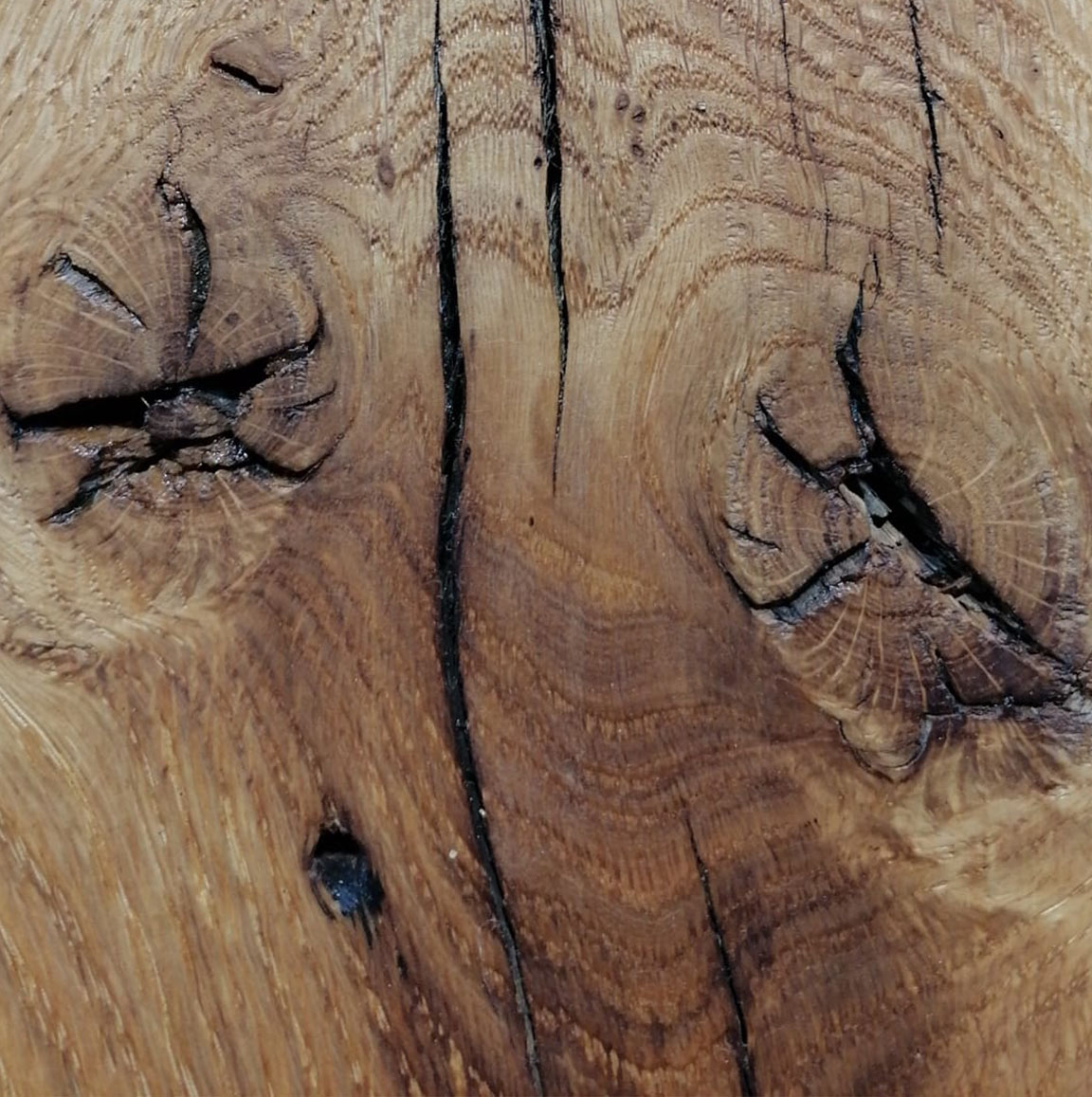 Natur - Risse offen
